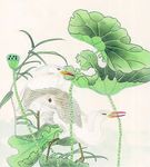 白鹭
