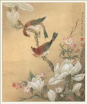 黄鹂