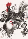 鸡