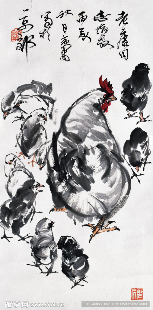 鸡