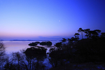海岸