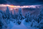 群山大雪森林风景树木