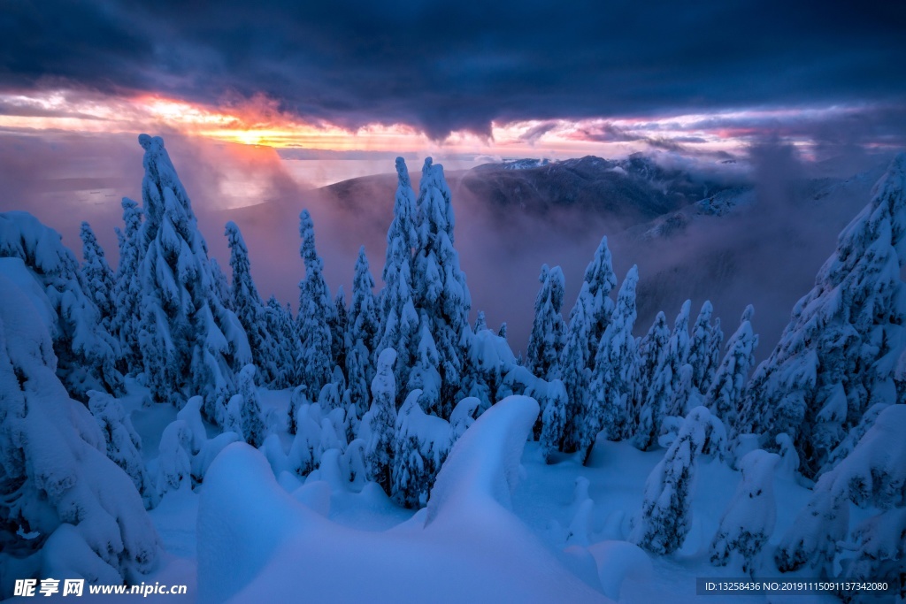 群山大雪森林风景树木