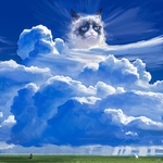 彩色天空云彩小猫插画