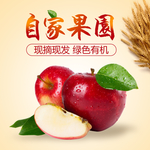 淘宝宝贝主图