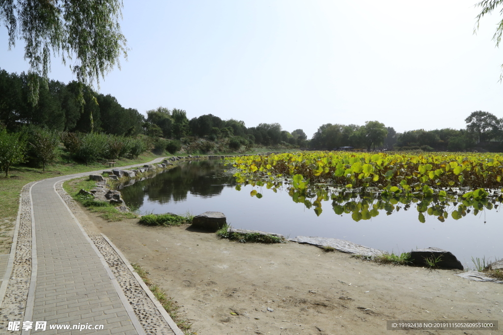 圆明园风景