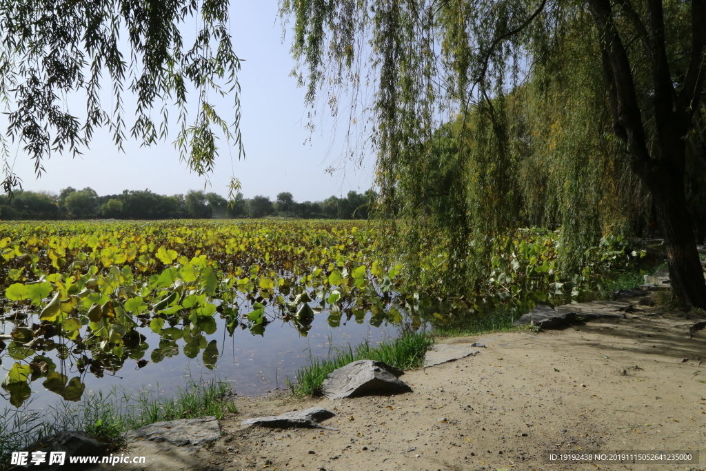 圆明园风景