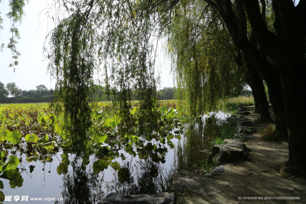 圆明园风景