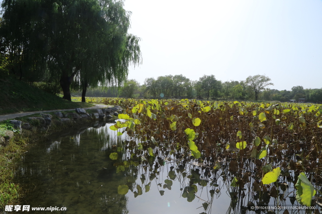 圆明园风景