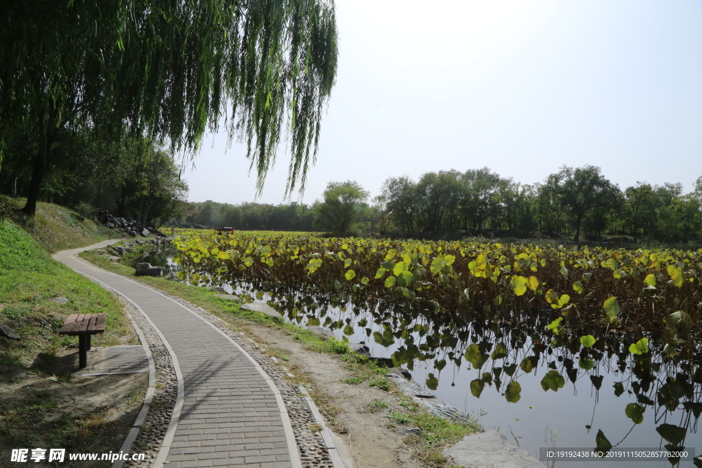 圆明园风景