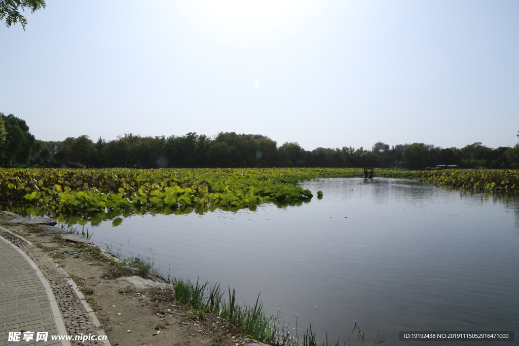 圆明园风景