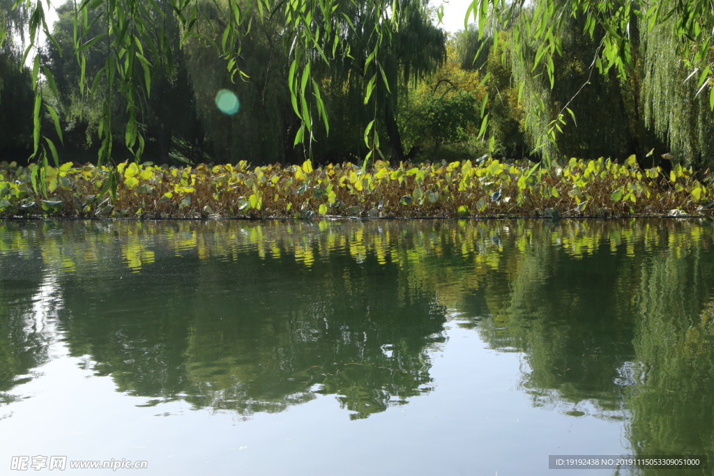 圆明园风景