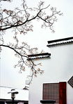 江南建筑