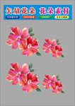 花朵瓶时尚