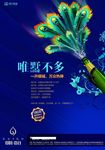 唯墅不多地产海报