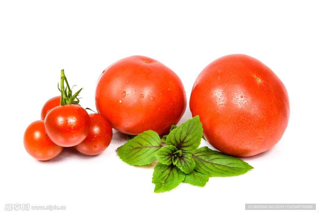 蔬菜