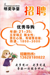 孕婴招聘