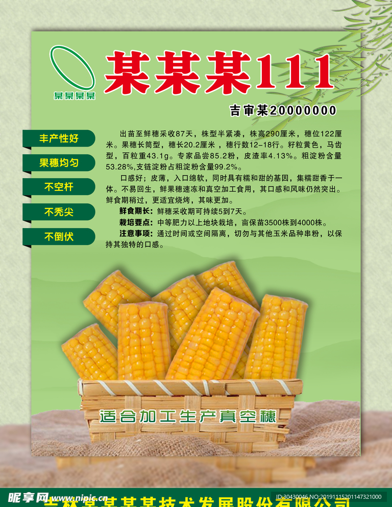 玉米种子宣传页