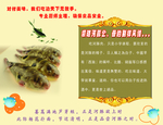 美食 美食河豚海报 舌尖上的美
