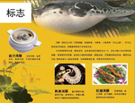 海鲜海报 高档海鲜 酒店