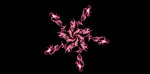 花纹