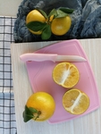 皇帝柑