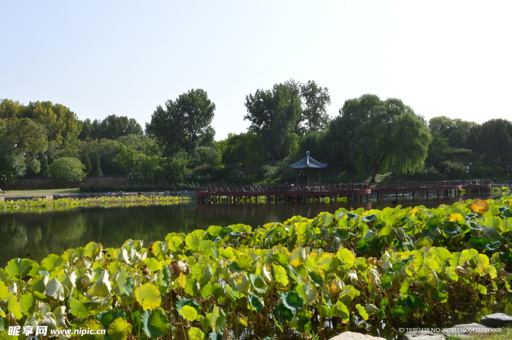 圆明园风景