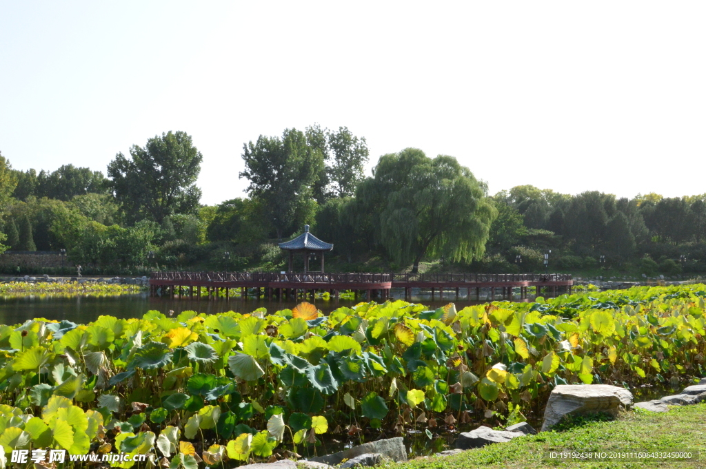 圆明园风景