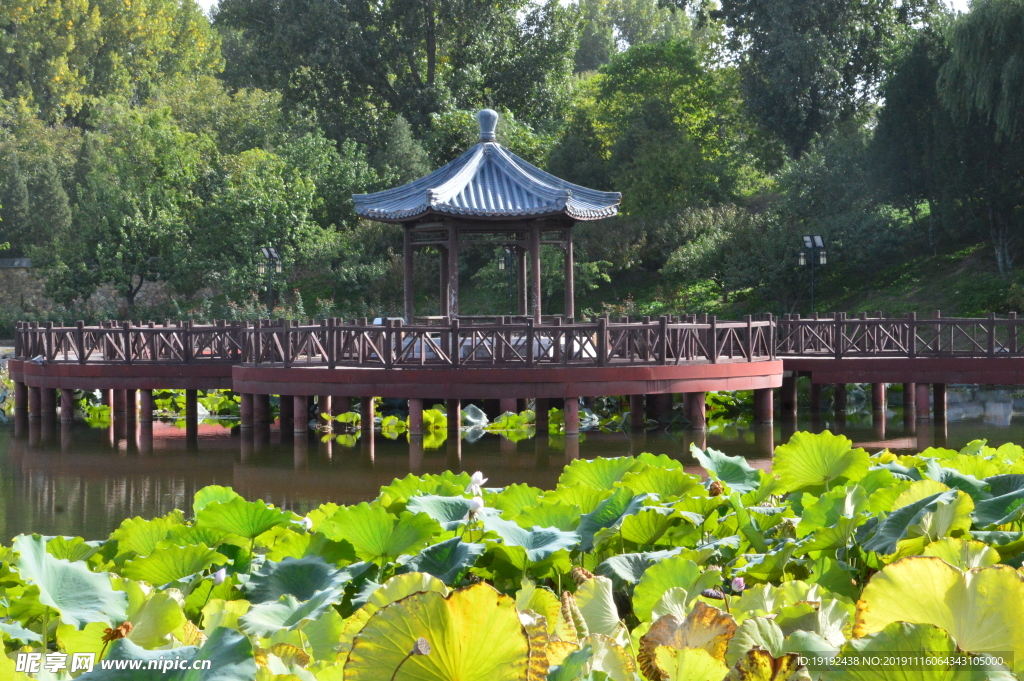 圆明园风景