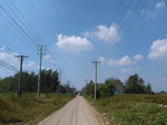 农村小路