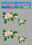 花朵浅粉色