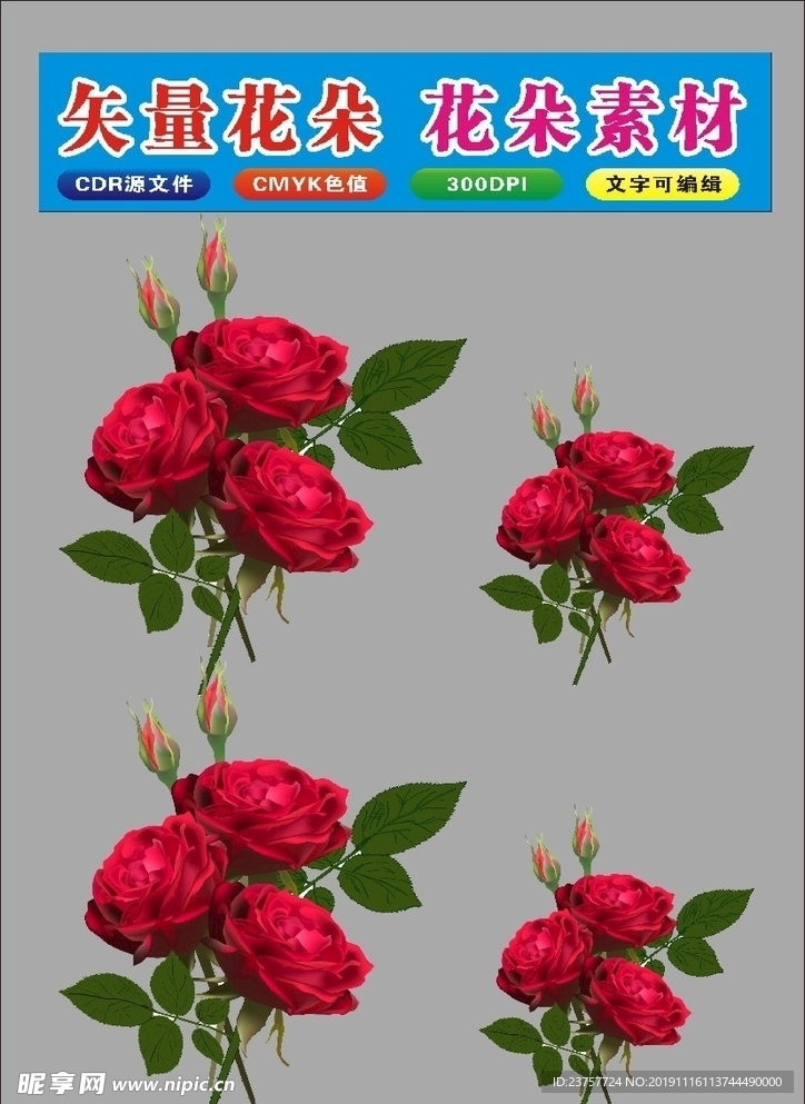 花朵黄色花