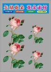 花朵黄色花