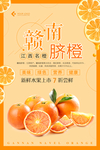 赣南脐橙海报设计