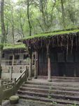 深山老林