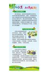 垃圾分类概述展架
