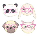 带眼镜的猫狗