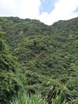 山