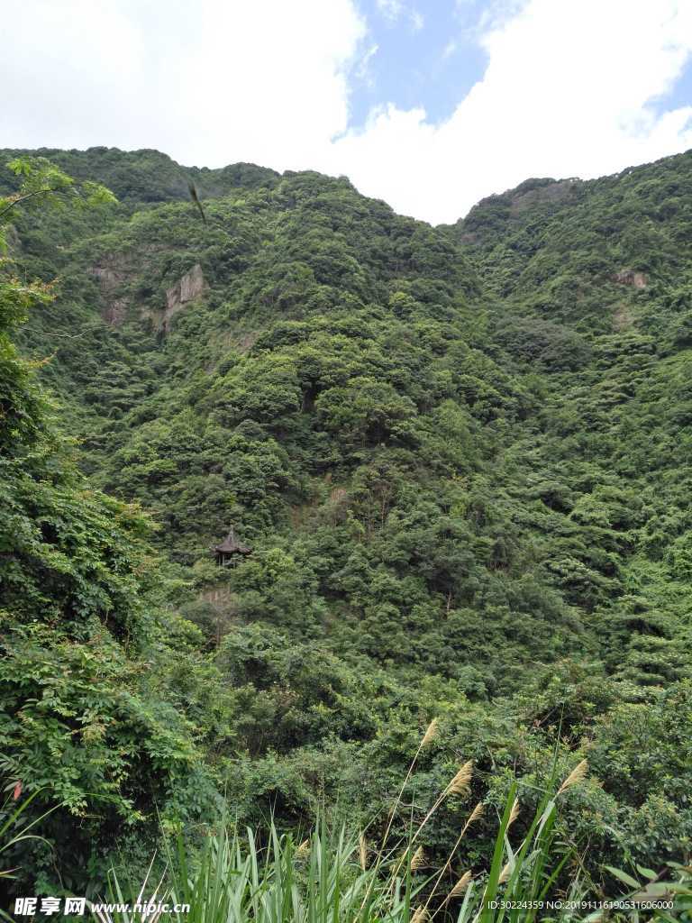 山