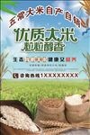 五常大米