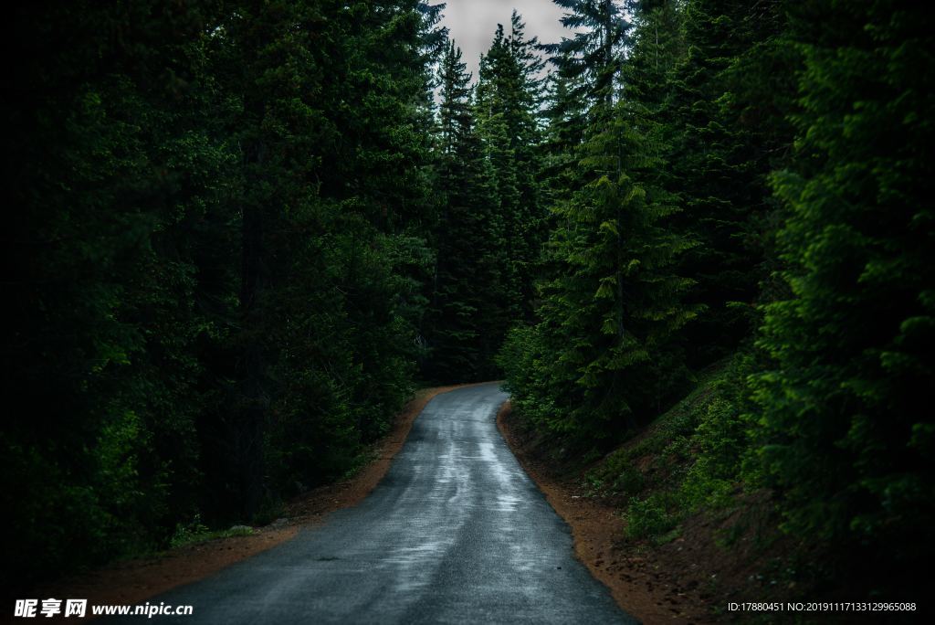 山林与道路