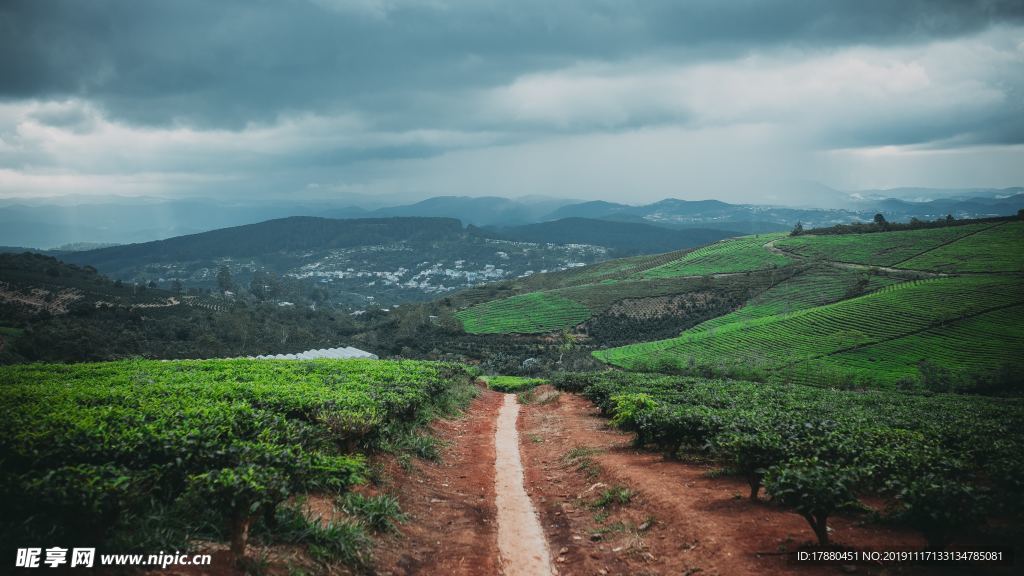 山林与道路