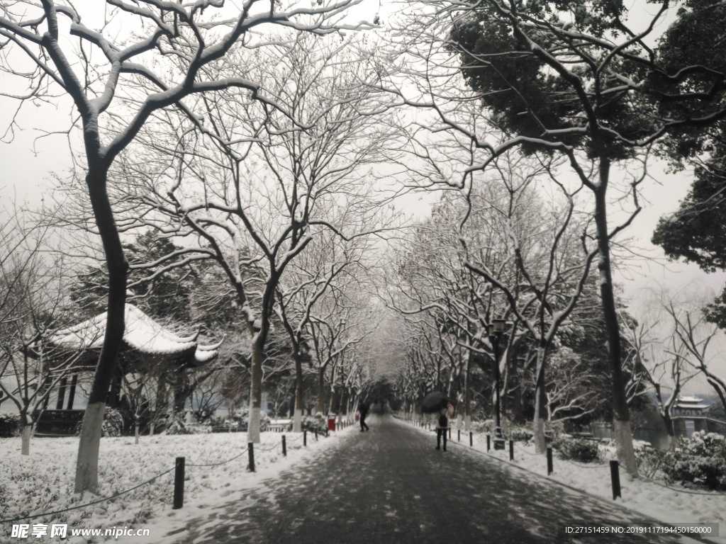 西湖 断桥残雪 西湖美景 冬季