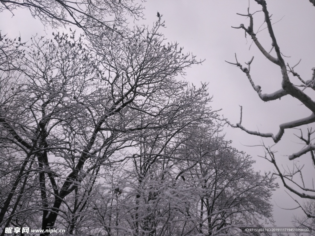 西湖 断桥残雪 西湖美景 冬季