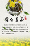 蒲公英茶海报
