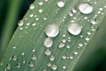 水珠水纹雨滴
