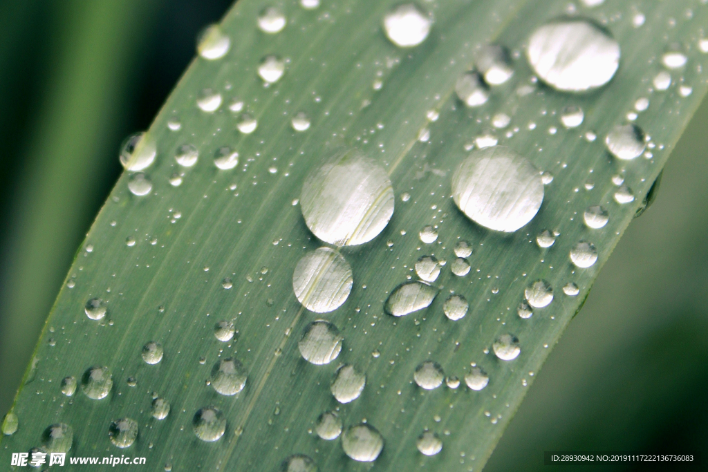 水珠水纹雨滴