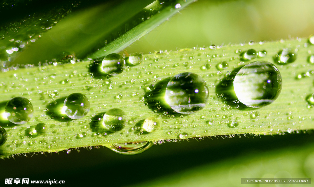 水珠水纹雨滴