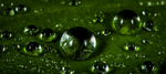 水珠水纹雨滴