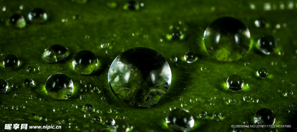水珠水纹雨滴